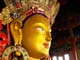 Ladakh is a land like no other. Bounded by two of the world's mightiest mountain ranges, the Great Himalaya & the Karakoram and inspite of the stark beauty of the landscape the people of Ladakh are a vibrant and colorful lot.