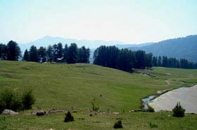 A view of meadows on hills surrounding Jammu.