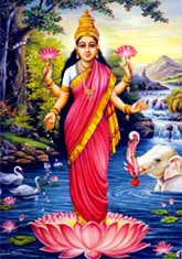Goddess Lakshmi.