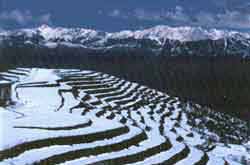 A view of Kud Landscape in winters.