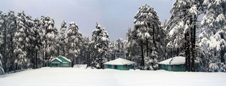Patnitop during snow in winters.