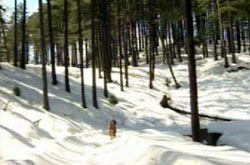 A view of Patnitop in winters.