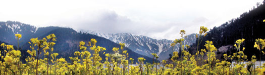 Jammu region nestled against the backdrop of the snow-capped Pir Panjal Mountains