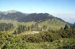 On way to Kailash Yatra.