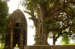 A view of Maha Shiv Temple, Basoli.