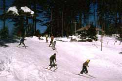 Ski at Patnitop.