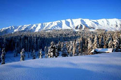 Gulmarg in winters .