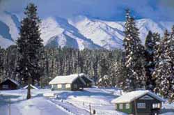 Snow covered Huts on the backdrop of Chinar Trees and Snowed Capped Mountains at Gulmarg.