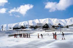 Skiing & Winter Sports.
