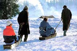 Sledging at Gulmarg.