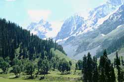 Sonamarg.