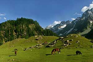 Sonamarg