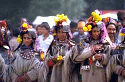 A Drokpa girl from Ladakh