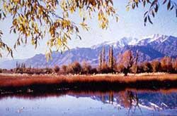 Lake below Shey Palace.