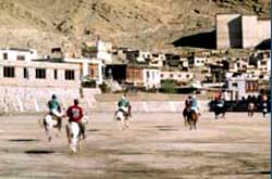 A Polo match at Leh