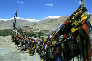  Ladakh Travel