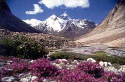 A peak in Zanskar