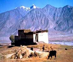 Rural scene in Zanskar
