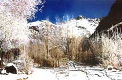 Suru valley in winter